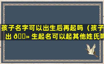 孩子名字可以出生后再起吗（孩子出 🌻 生起名可以起其他姓氏吗）